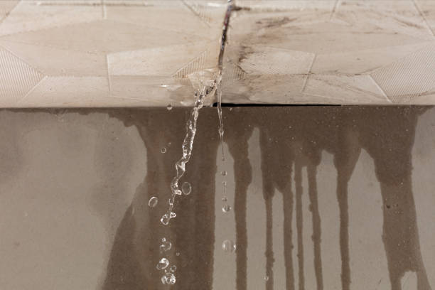 Professional Structural Drying technician working in Marble Falls, TX